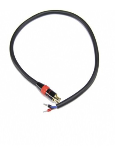 https://www.agrobimer.es/2517-large_default/cable-salida-de-bateria-f3000-f3002-f3005.jpg