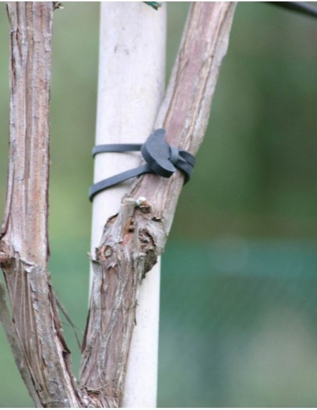 Goma ancla numero 20, caja 2.500 unidades