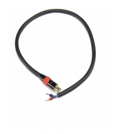 Cable salida de batería F3000, F3002, F3005