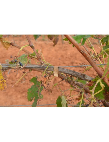 ATADORA CINTA ENTUTORAR TB-R2 ALUMINIUM