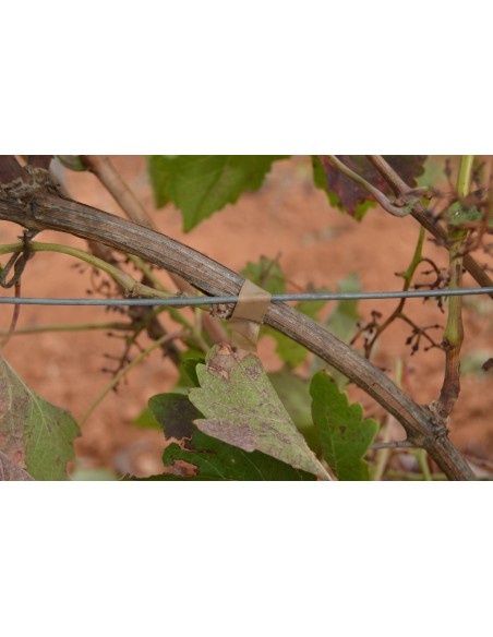 ATADORA CINTA ENTUTORAR TB-R2 ALUMINIUM