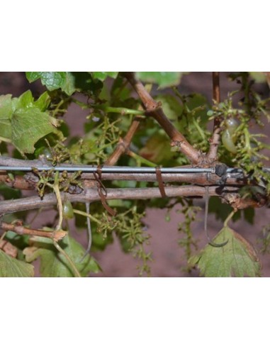 Rollo COMPATIBLE para atadora pellenc