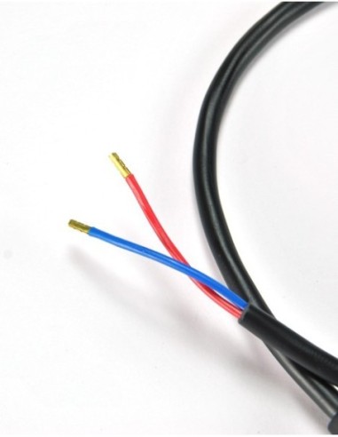 Cable salida batería F3010