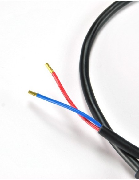 Cable salida batería F3010