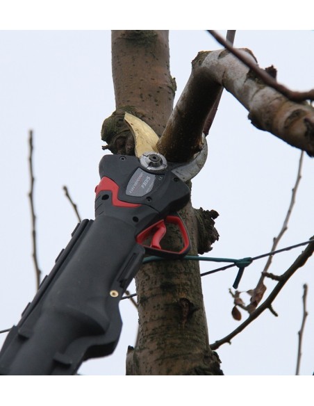 PERTIGA TELES. 1,2-1,9M CARBONO F3015