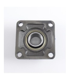 SOPORTE Y RODAMIENTO SF35 EXCENTRICA GREGOI 2