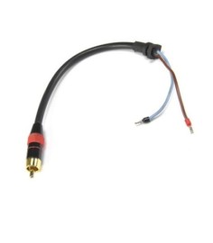 Cable entrada elec.+conec. F3000/2