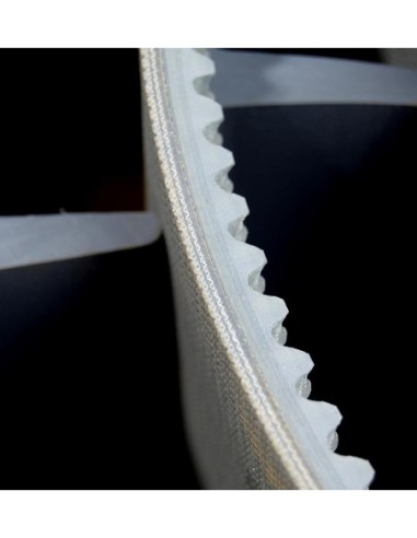 BANDA TRANS. VENDIMIADORA 250MM X 10.40M FLEXIBLE