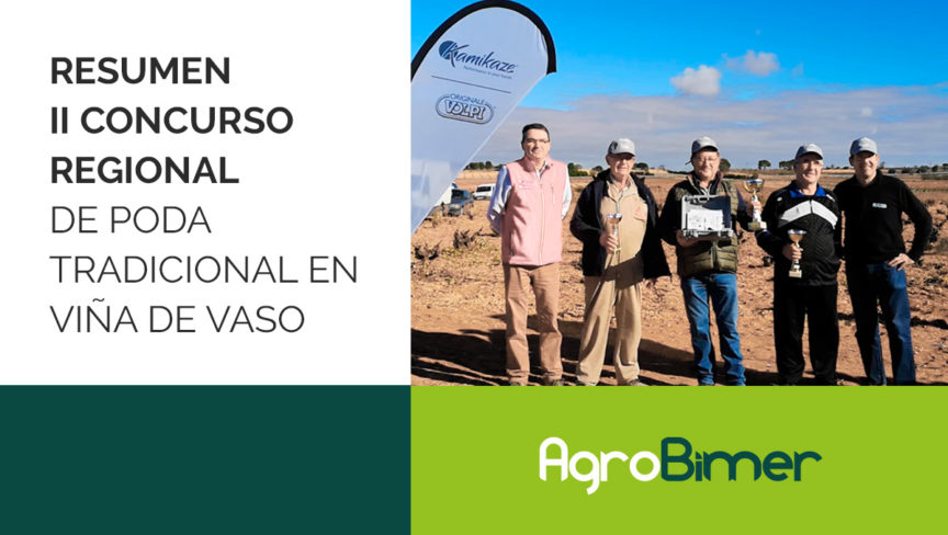 Resumen II Concurso de poda tradicional en viña de vaso Resumen II Concurso de poda tradicional en viña de vaso